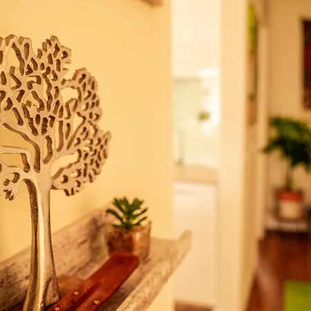 Paz & Flat - Peace & 公寓 纳扎雷
