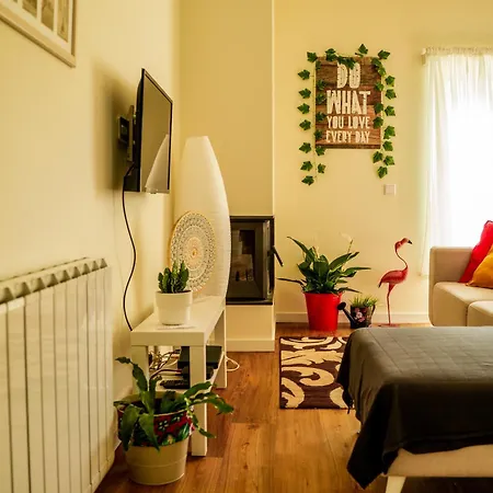 Apartment Paz & Flat - Peace & Nazare
