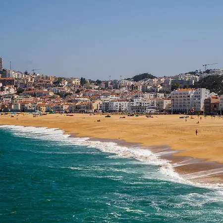 Paz & Flat - Peace & Nazare