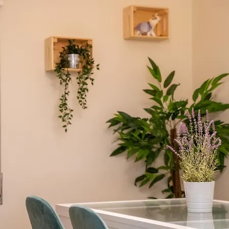 Apartment Paz & Flat - Peace &