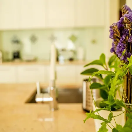 Apartment Paz & Flat - Peace &