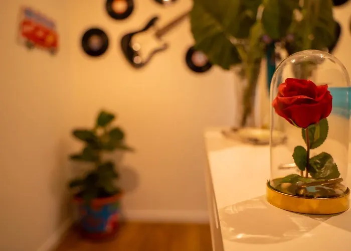 Paz&amor Flat - Peace&love