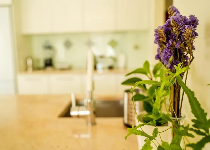 Apartment Paz & Flat - Peace &